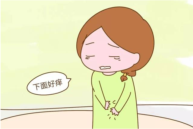 外阴瘙痒原因,外阴瘙痒红肿,外阴瘙痒治疗